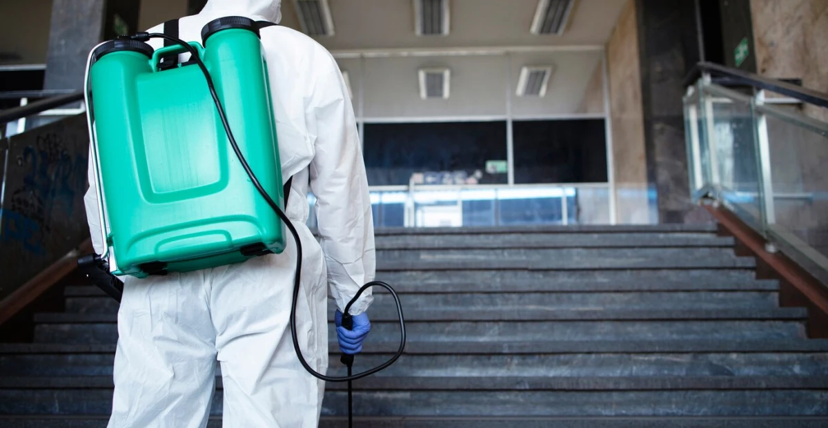Tue Net Deratisation A Maisons Alfort Comment Eviter La Contamination A La Covid En Se Rendant Sur Son Lieu De Travail
