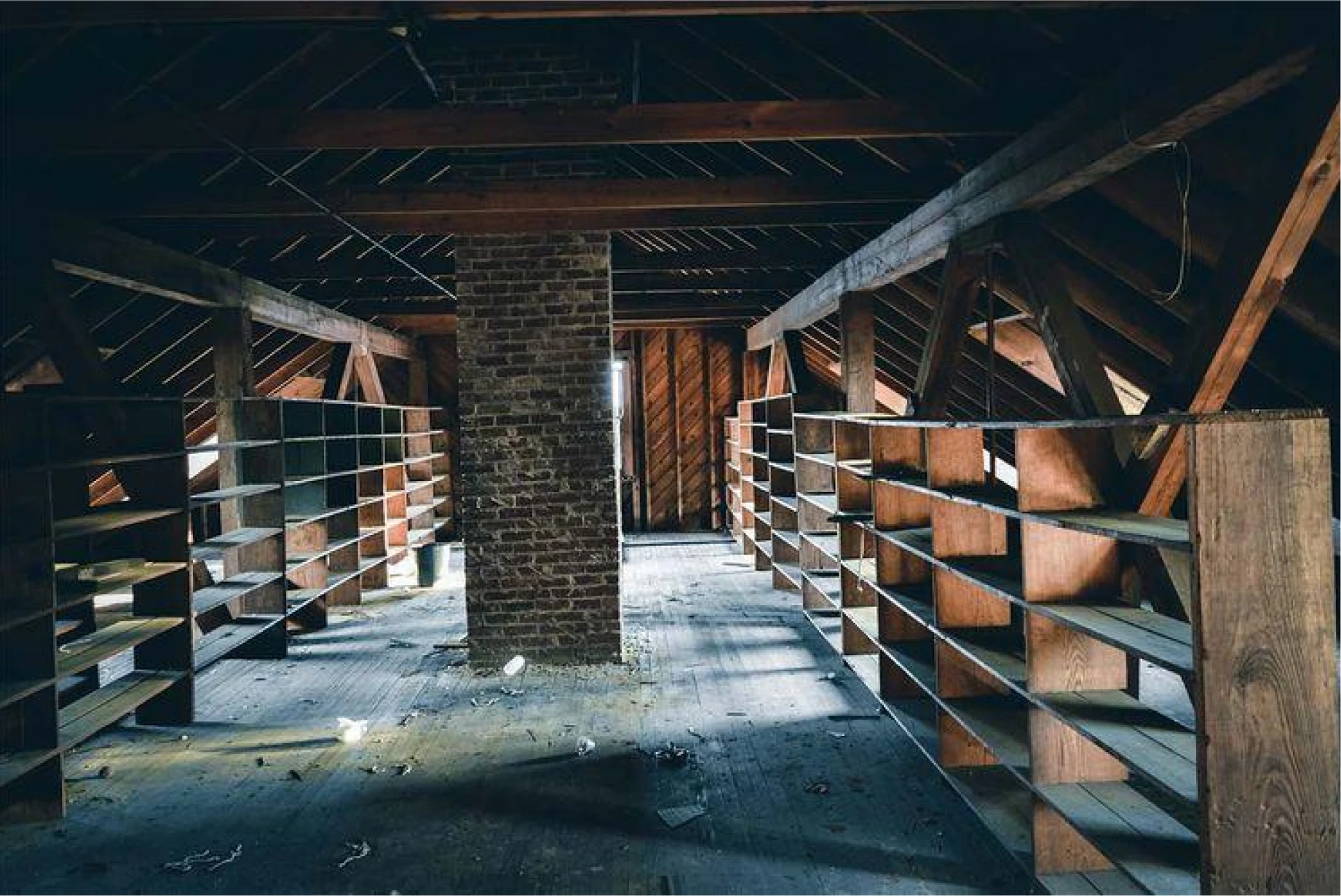 Tue Net Deratisation A Maisons Alfort Isolation Des Combles